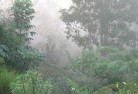 Kayugalandscaping-irrigation-4.jpg; ?>